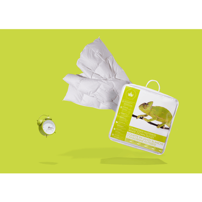 Couette en duvet blanc Hutterite