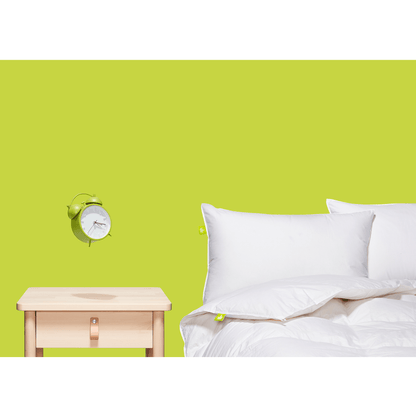 Couette en duvet blanc Hutterite