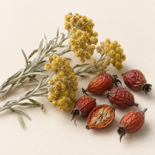 LEXIE Regenerating Balm Italian Helichrysum and Rosehip