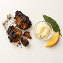 Crème hydratante pour le visage KATERI chaga & beurre de mangue