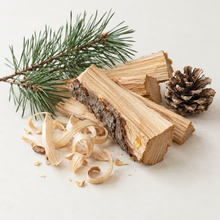 Bougie de soya MARTIN pin sylvestre