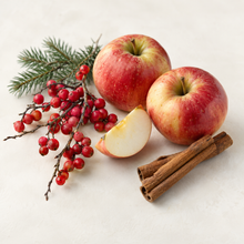 Bougie de soya NICOLÁS baies d'hiver