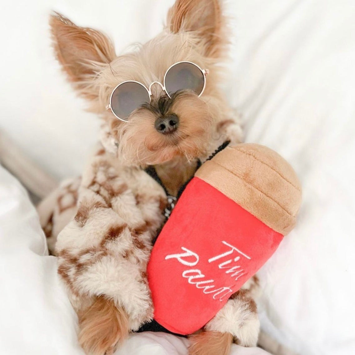 Jouet pour chien Tim Pawtons (STOCK LIMITÉ)