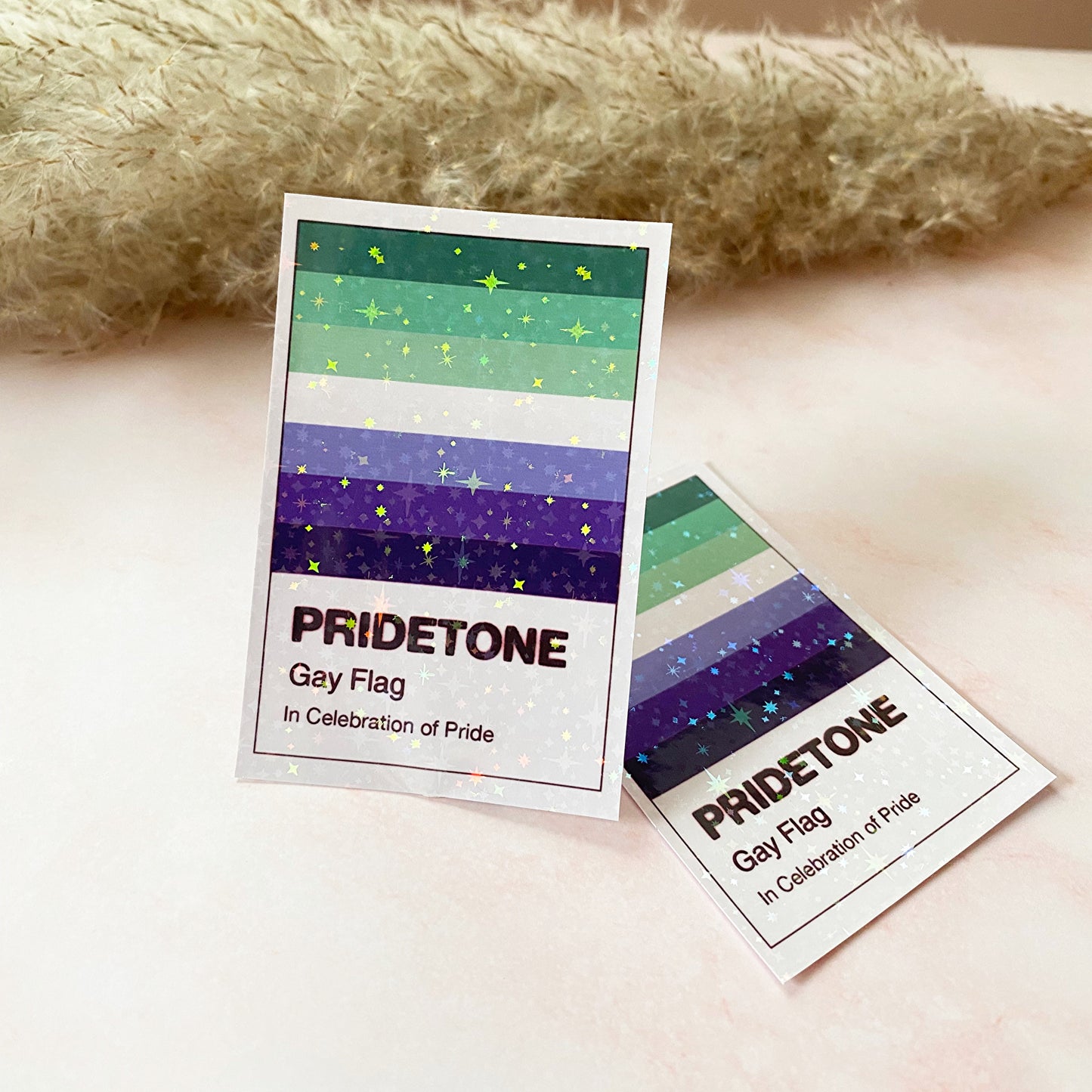 Drapeau gay Pridetone | Autocollant Pride