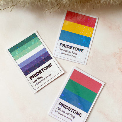 Drapeau pansexuel Pridetone | Autocollant de la fierté
