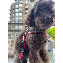 Harnais pour chien Carnegie Plaid Rouge à fixation rapide