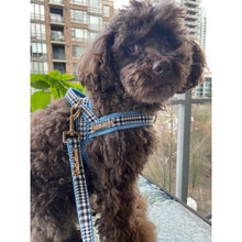 Prince Houndstooth Blue One-Click Dog Harness