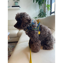 Harnais pour chien à enfiler motif tartan écossais