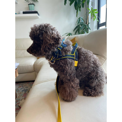 Harnais pour chien à enfiler motif tartan écossais