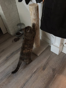 Modèle 28 - 28 : Griffoir pour chat en cèdre de 28 po