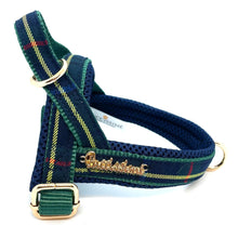 Harnais pour chien Barclay Plaid vert à un clic