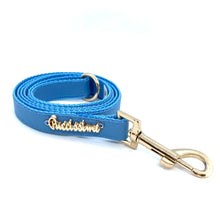 Maya Blue leash with hands-free extension