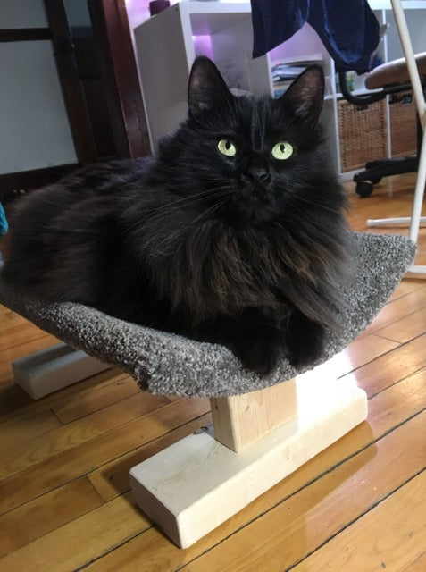 Model 38 - Over-Register Cat Bed