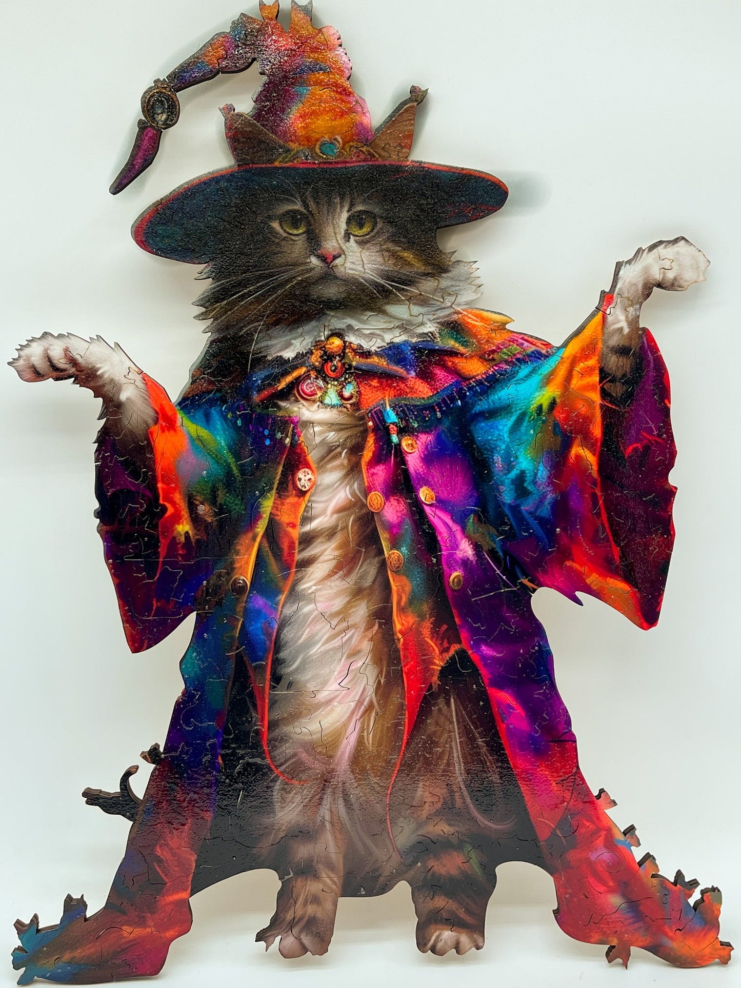 Le Chat magicien