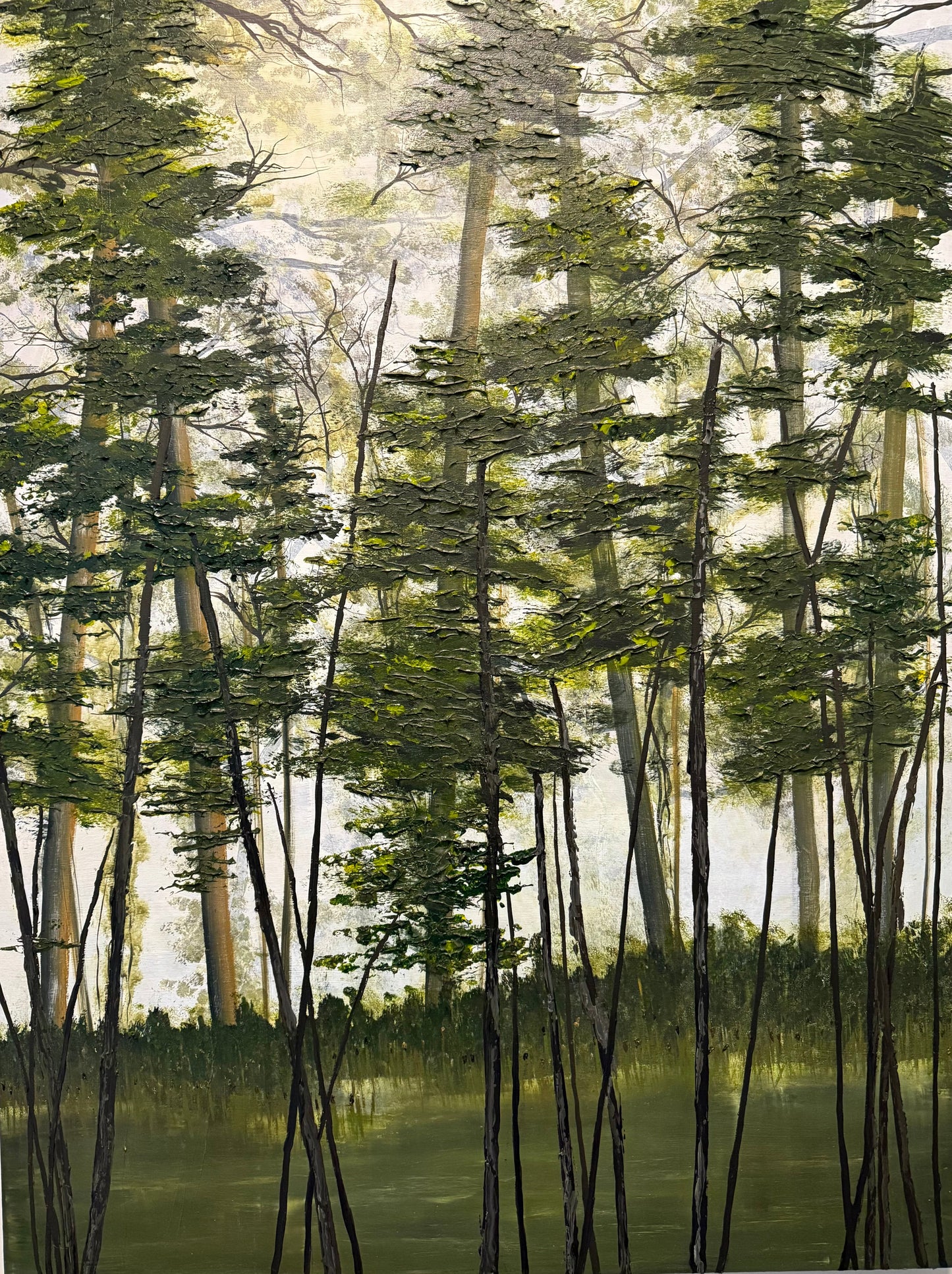Shady Lake Trail
