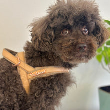 Harnais pour chien en cuir véritable pêche, avec attache rapide