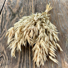Hulless Oats Spray