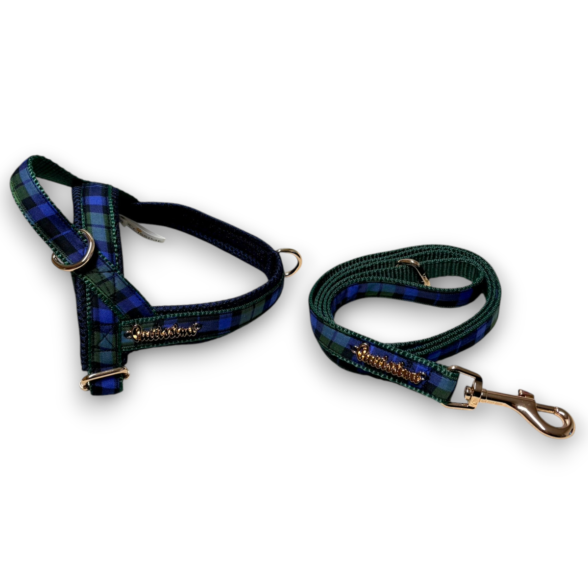 Madras One-Click Dog Harness