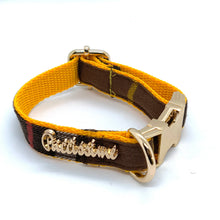 Medallion dog collar