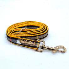 Medallion dog leash with hands-free extension