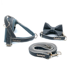 Shadow dog bow tie