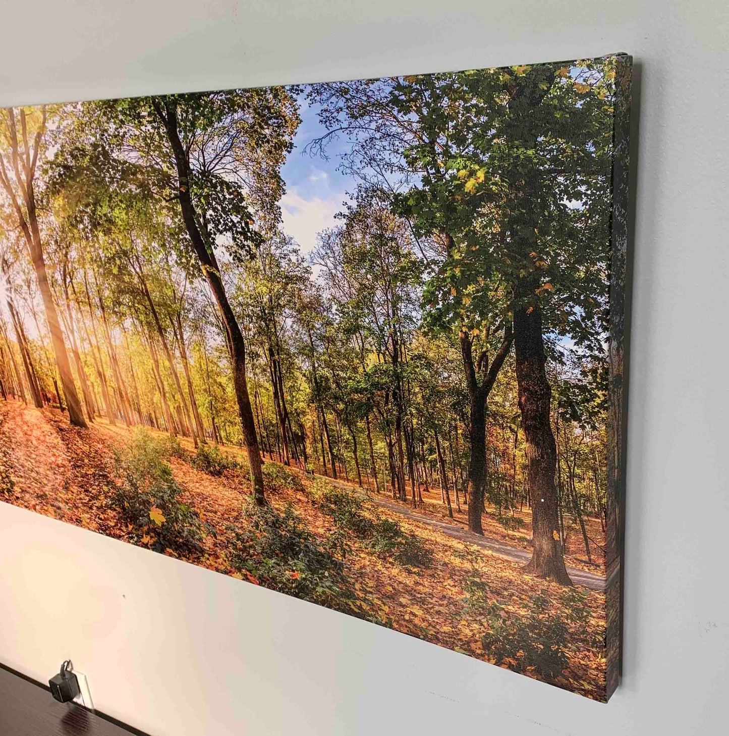 Impression sur toile - Arbres d'automne - Décoration murale
