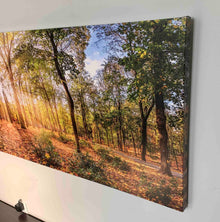 Impression sur toile - Arbres d'automne - Décoration murale