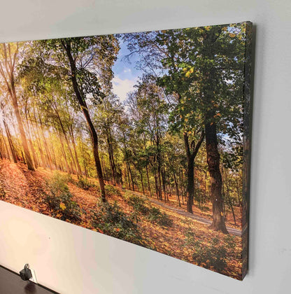 Impression sur toile - Arbres d'automne - Décoration murale