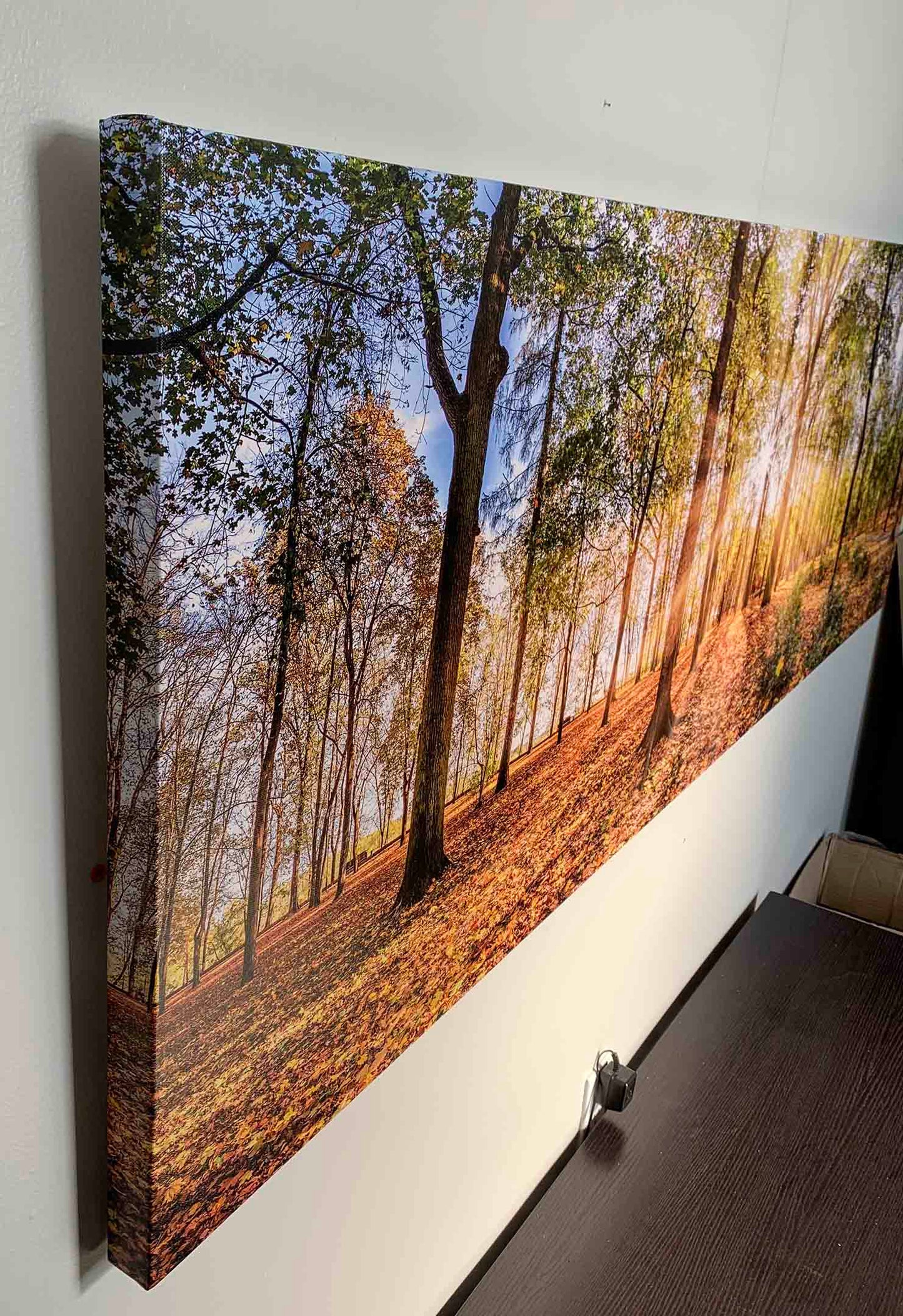 Impression sur toile - Arbres d'automne - Décoration murale