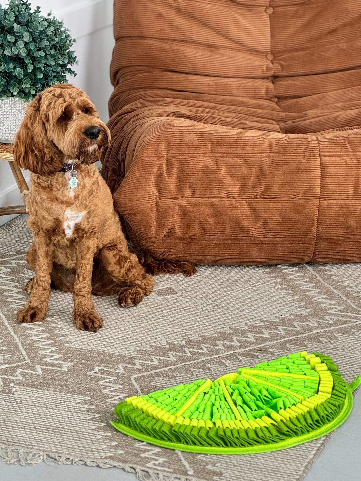 Tapis à renifler Zesty Lime™