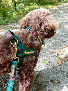Highland collar