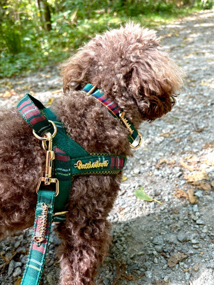 Highland collar