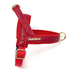 Harnais pour chien en cuir rouge cerise à attache rapide