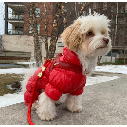 Harnais pour chien en cuir rouge cerise à attache rapide
