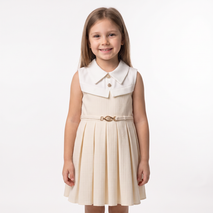 Winter Wanderer Coat Dress