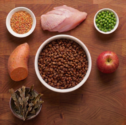 Super Premium Dog Food