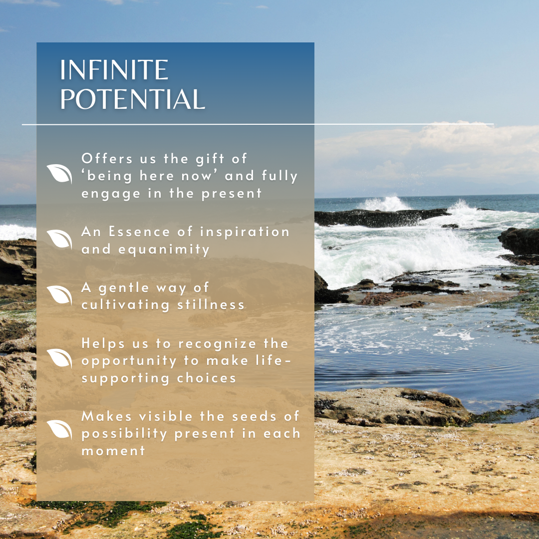 Infinite Potential | Combination Essence