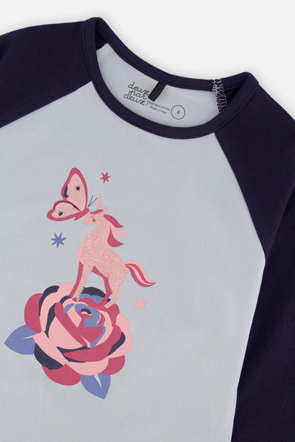 Raglan Organic Cotton T-Shirt Dark And Pale Blue