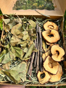 Apple Orchard Forage Box