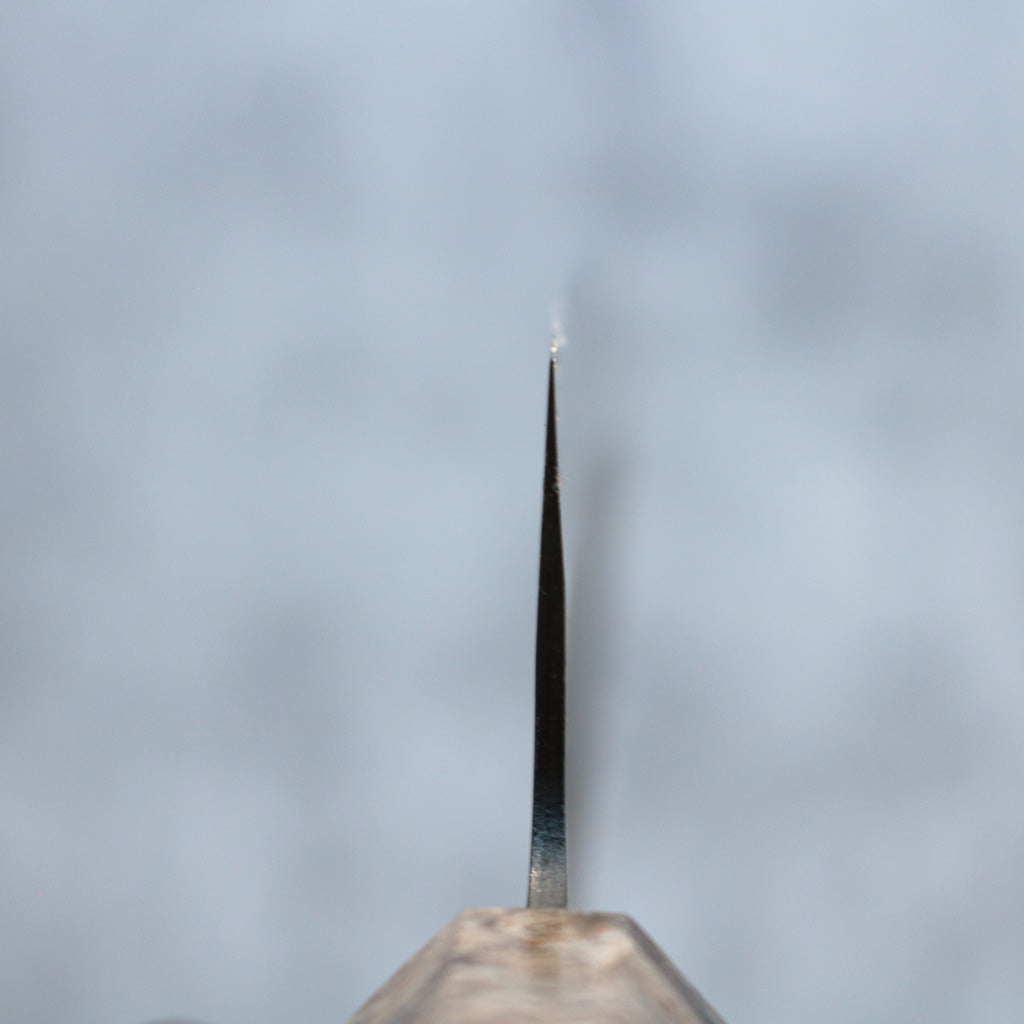 Hatsukokoro Aokitae Gyuto 210mm