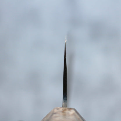 Hatsukokoro Aokitae Gyuto 210mm