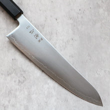 Hatsukokoro Hikari SLD Gyuto 210 mm