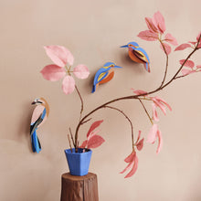 Kingfishers