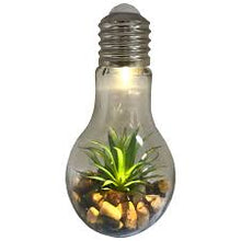 Terrarium décoratif LED en forme d'ampoule en verre