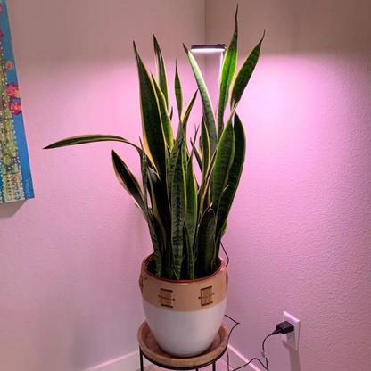 Lampe horticole LED réglable de 28 pouces
