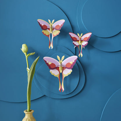 Papillons Comète Lilas<br> Lot de 3