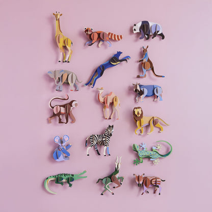 Animal sauvage - Lion