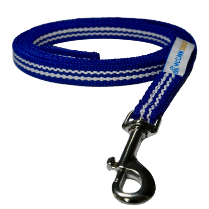Puppy Training House-Line