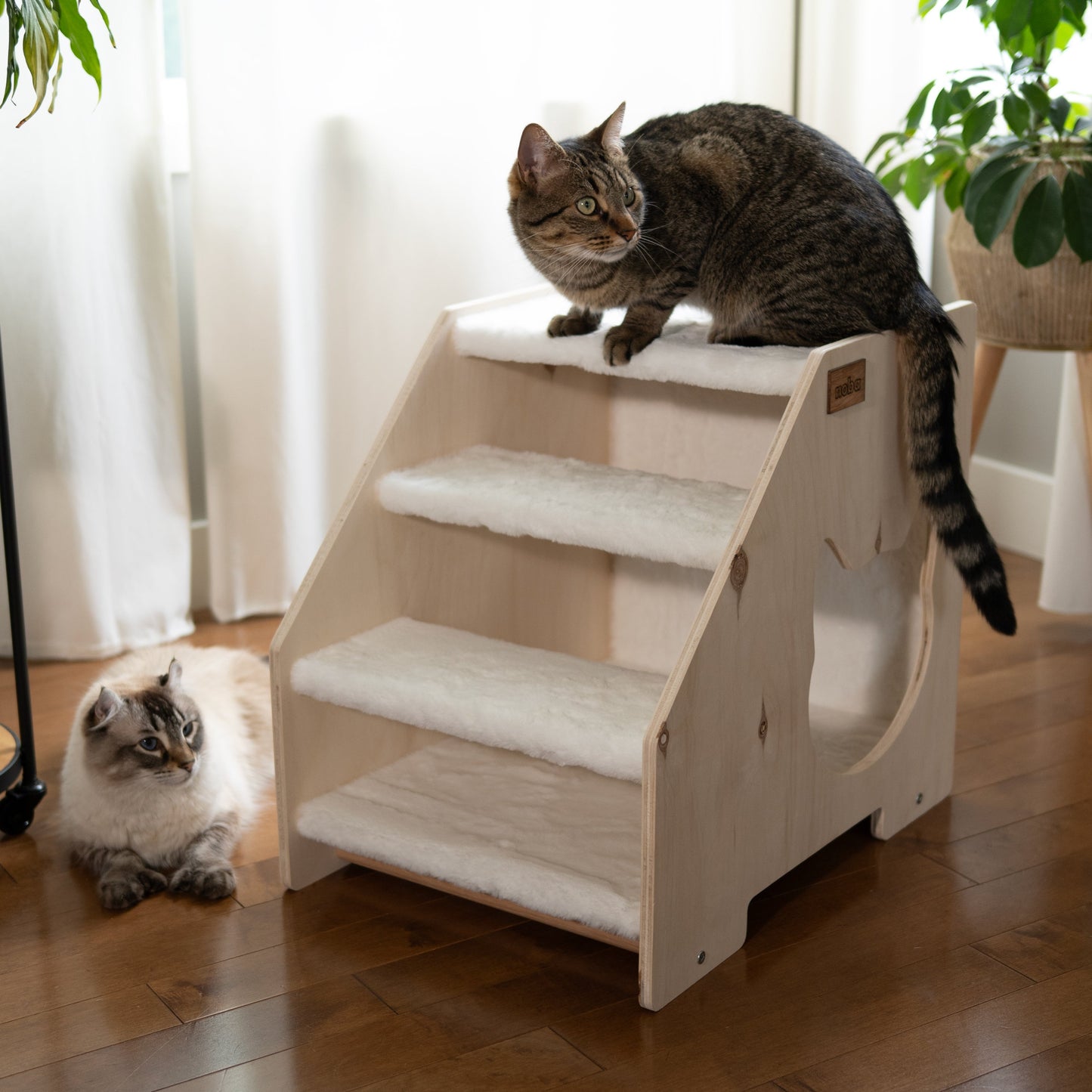 La Cachette des escaliers