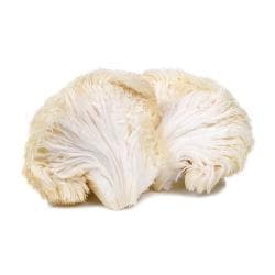 Organic Lion's Mane Tincture